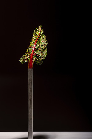 Kale
